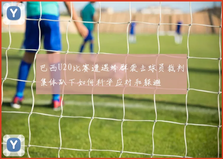 巴西U20比赛遭遇蜂群袭击球员裁判集体趴下如何科学应对和躲避